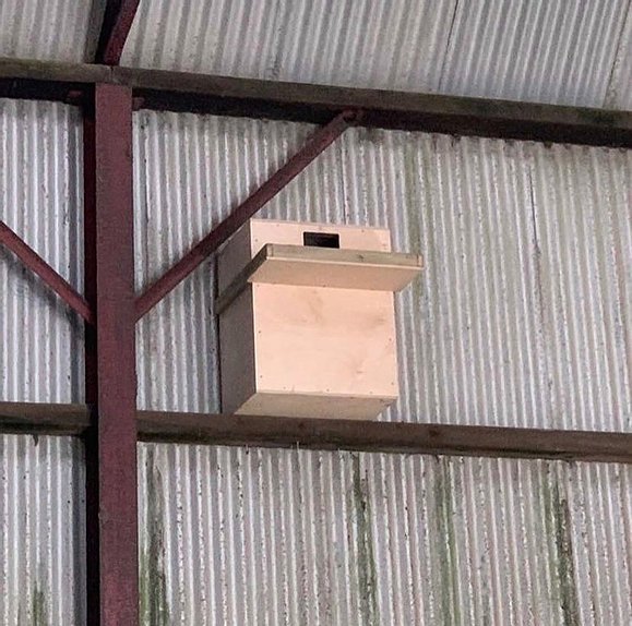 ACRES Barn Owl Nestbox, indoor design. - Image 4