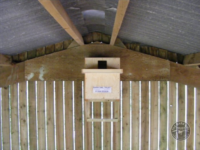 ACRES Barn Owl Nestbox, indoor design. - Image 2