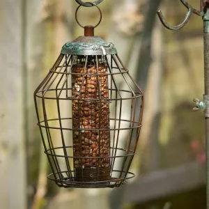 Squirrel Proof Peanut Feeder by Secret Garden