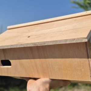 Swift Nest Box