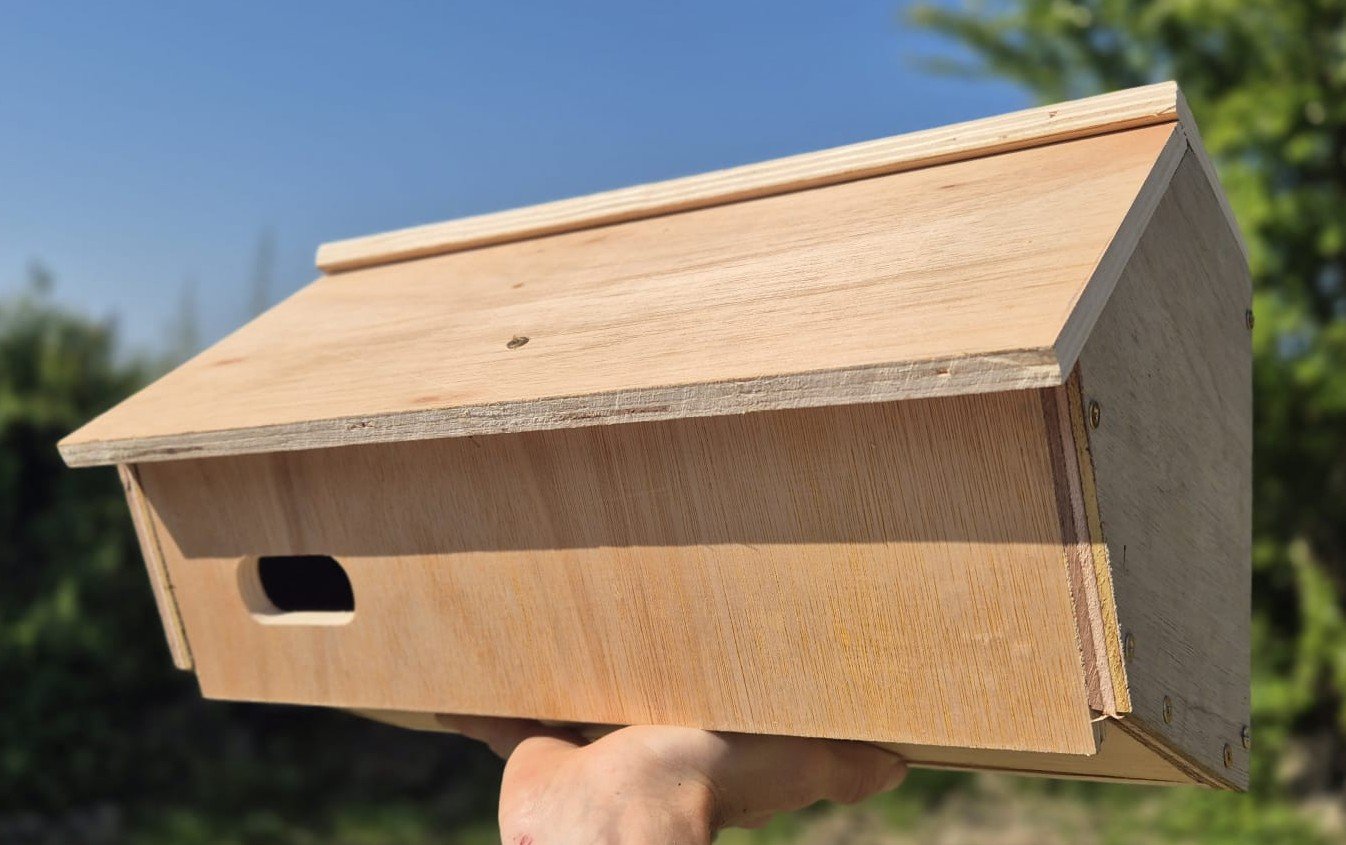 Swift Nest Box