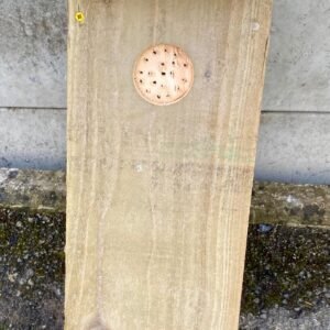 Woodpecker Nesting Box