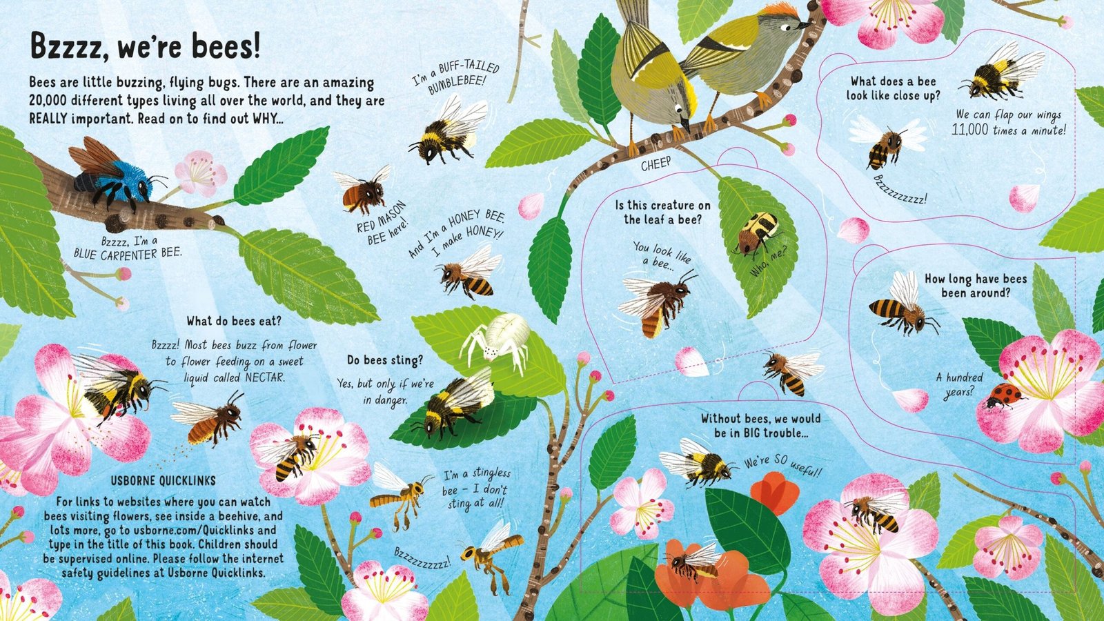 Look Inside the World of Bees - Image 2